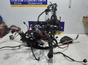 Wiring Harness RENAULT KANGOO Express (FW0/1_)