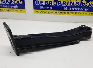 Bumper Clip FIAT Panda (312, 319)