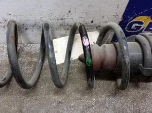 Coil Spring FIAT Punto (188), FIAT Punto Kasten/Schrägheck (188)