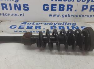 Suspension Strut SSANGYONG Rexton W/Rexton (--)