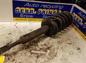 Suspension Strut AUDI A6 (4B2, C5)