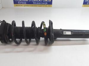 Suspension Strut VW Passat Variant (3C5)