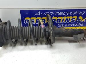 Suspension Strut FORD Galaxy (WA6), FORD S-Max (WA6)