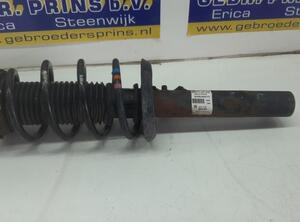 Suspension Strut VW Jetta IV (162, 163, AV2, AV3)