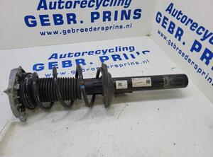 Suspension Strut CUPRA Born (K11)