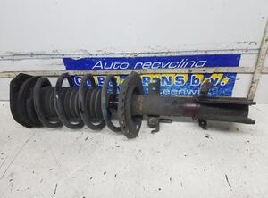 Suspension Strut RENAULT KANGOO Express (FW0/1_)