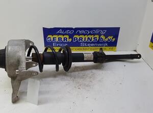 Suspension Strut AUDI A5 (8T3)