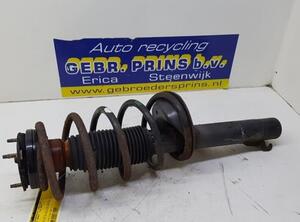 Suspension Strut FORD Transit Connect (P65, P70, P80)