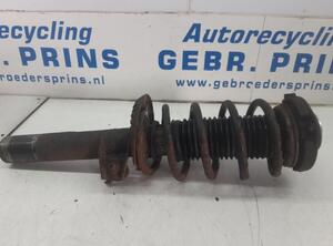 Suspension Strut VW Passat (3C2)