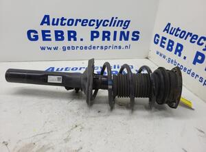 Suspension Strut VW Golf VII Variant (BA5, BV5)