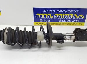 Suspension Strut FIAT GRANDE PUNTO (199_), FIAT PUNTO (199_), FIAT PUNTO EVO (199_)