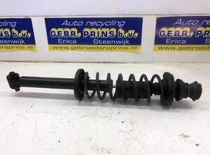 Suspension Strut VW POLO (6N2)