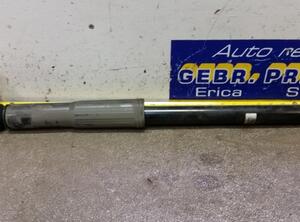 Shock Absorber HONDA Jazz III (GE, GG, GP, ZA)