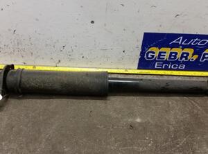 Shock Absorber CHEVROLET Aveo/Kalos Stufenheck (T250, T255)