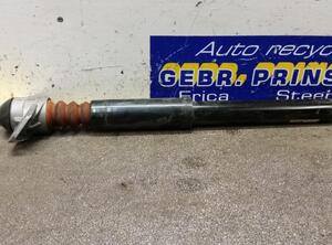 Shock Absorber VW Golf Plus (521, 5M1)