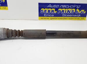 Shock Absorber AUDI A6 (4F2, C6)