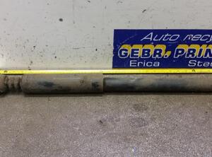 Shock Absorber TOYOTA Yaris Verso (P2)