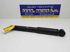 Shock Absorber RENAULT Trafic III Kasten (FG)