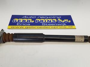 Shock Absorber VW Passat Variant (365)