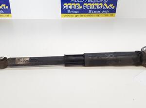 Shock Absorber VW Golf VII (5G1, BE1, BE2, BQ1)