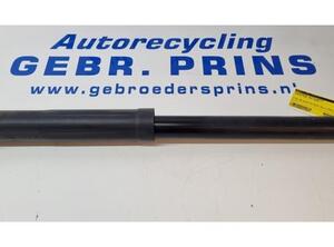 Shock Absorber TOYOTA Aygo (B4)