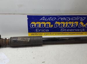 Shock Absorber FIAT Punto (199)