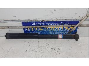 Shock Absorber TOYOTA Verso S (P12)