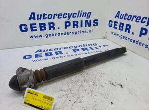 Shock Absorber AUDI A3 (8P1), AUDI A3 Sportback (8PA)