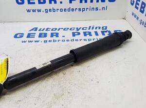 Shock Absorber HYUNDAI i10 (AC3, AI3)