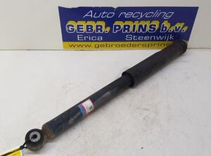 Shock Absorber TOYOTA Verso S (P12)