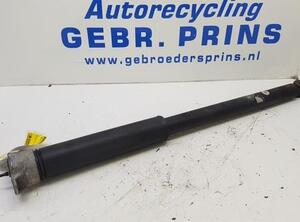 Shock Absorber VOLVO V40 Schrägheck (525, 526)