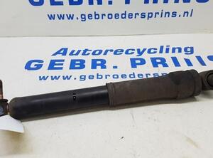 Shock Absorber RENAULT Megane III Grandtour (KZ0/1)