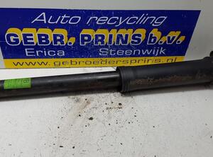 Shock Absorber CHEVROLET AVEO / KALOS Hatchback (T250, T255)