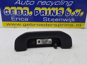 Grab Handle MERCEDES-BENZ B-Klasse (W247)