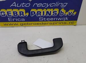 Grab Handle MERCEDES-BENZ B-Klasse (W247)