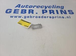 Innenleuchte links Kia Niro I DE 928913S P18974620