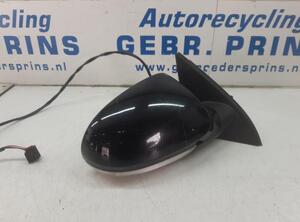 Wing (Door) Mirror VW PASSAT (3C2), VW PASSAT (362)