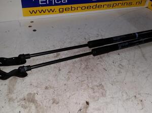 Gas Spring TOYOTA Yaris (P13)