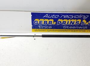 Gas Spring VOLVO C30 (533)