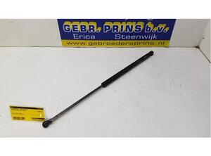 Gas Spring TOYOTA Aygo (KGB1, WNB1)