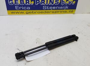 Gas Spring Engine Hood AUDI A1 (8X1, 8XK), AUDI A1 Sportback (8XA, 8XF)