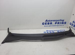 Water Deflector RENAULT Twingo II (CN0)