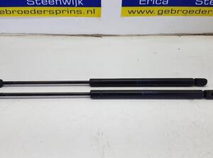 Bootlid (Tailgate) Gas Strut Spring MINI Mini (R50, R53), MINI Mini (R56)