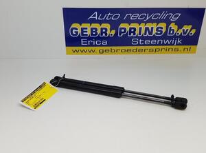 Bootlid (Tailgate) Gas Strut Spring SEAT Mii (KE1, KF1)