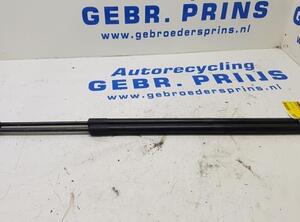 Heckklappendämpfer Ford Kuga II DM2 GV41S406A11AB P17865996