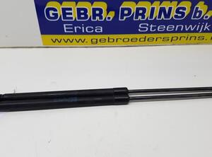 Bootlid (Tailgate) Gas Strut Spring SEAT Leon (1P1)