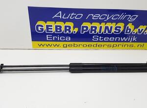 Bootlid (Tailgate) Gas Strut Spring AUDI A3 Sportback (8VA, 8VF), AUDI A6 Allroad (4GH, 4GJ)