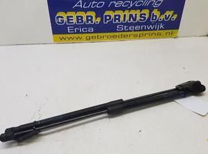 Bootlid (Tailgate) Gas Strut Spring SUZUKI Swift IV (FZ, NZ)