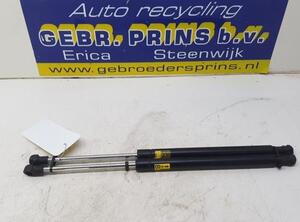 Bootlid (Tailgate) Gas Strut Spring TOYOTA Verso S (P12)