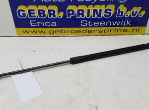 Bootlid (Tailgate) Gas Strut Spring FORD Ecosport (--)